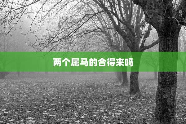 两个属马的合得来吗