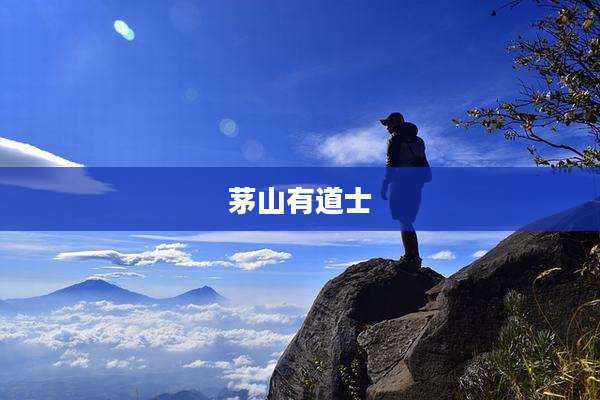 茅山有道士