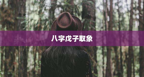 八字戊子取象