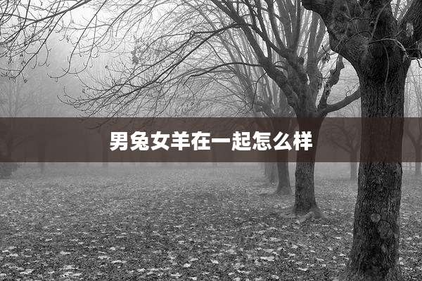 男兔女羊在一起怎么样