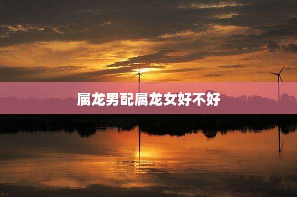 属龙男配属龙女好不好