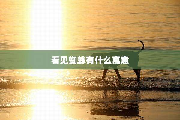 看见蜘蛛有什么寓意