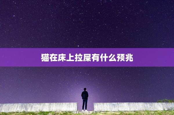 猫在床上拉屎有什么预兆
