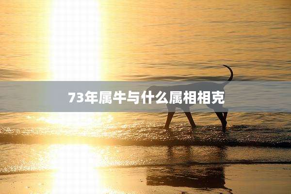 73年属牛与什么属相相克