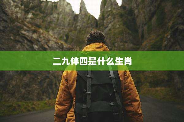 二九伴四是什么生肖