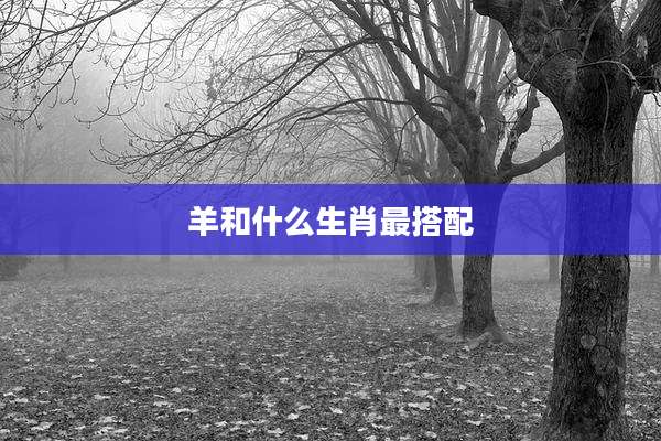 羊和什么生肖最搭配