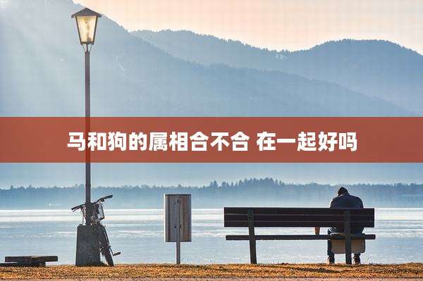 马和狗的属相合不合 在一起好吗