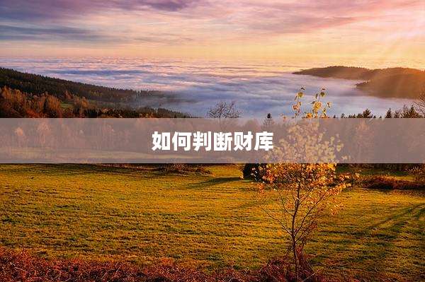 如何判断财库