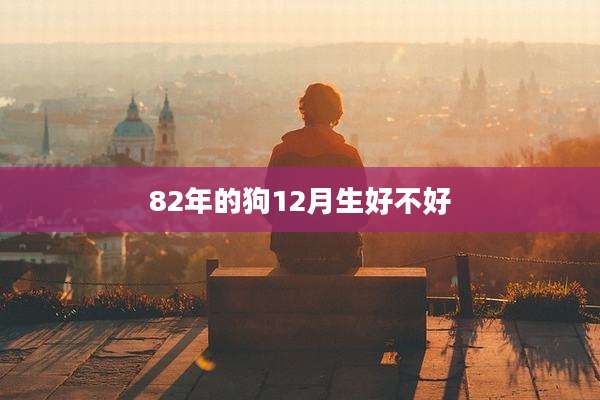 82年的狗12月生好不好