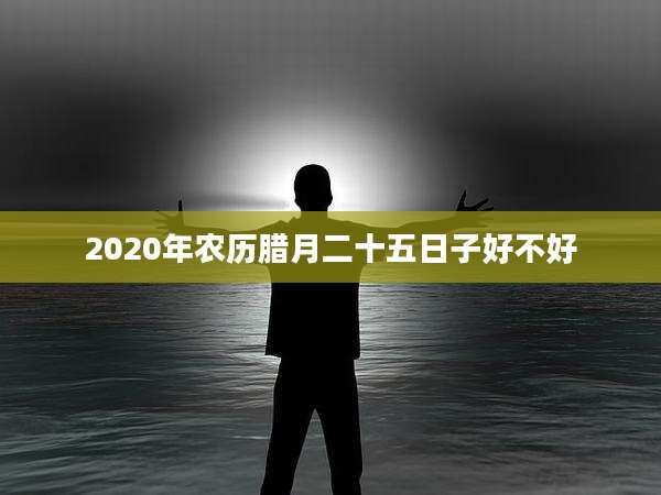 2020年农历腊月二十五日子好不好