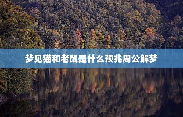 梦见猫和老鼠是什么预兆周公解梦