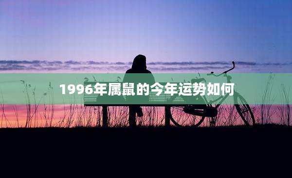 1996年属鼠的今年运势如何
