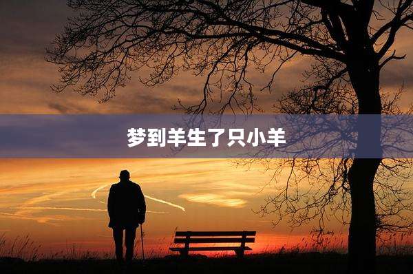 梦到羊生了只小羊