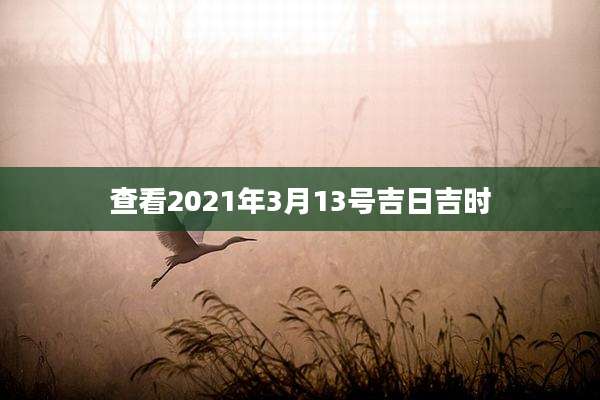 查看2021年3月13号吉日吉时