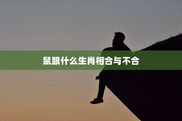 鼠跟什么生肖相合与不合