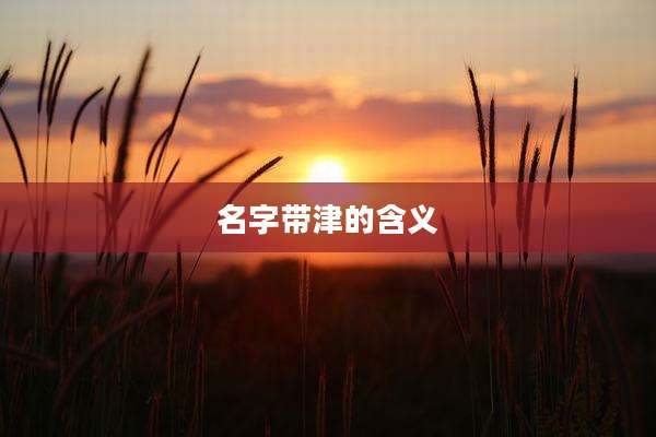 名字带津的含义