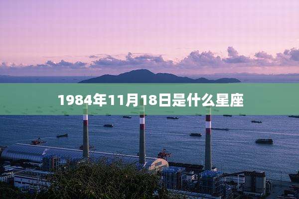 1984年11月18日是什么星座