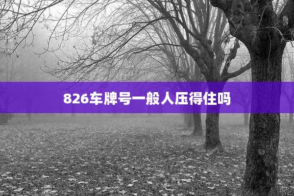 826车牌号一般人压得住吗