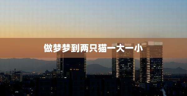 做梦梦到两只猫一大一小