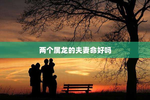 两个属龙的夫妻命好吗