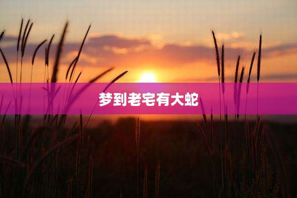 梦到老宅有大蛇