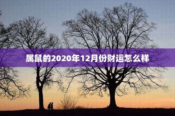 属鼠的2020年12月份财运怎么样