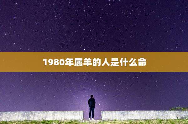 1980年属羊的人是什么命