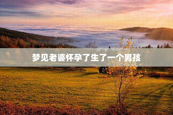梦见老婆怀孕了生了一个男孩