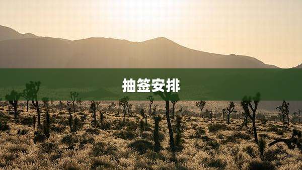 抽签安排