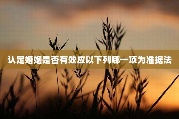 认定婚姻是否有效应以下列哪一项为准据法