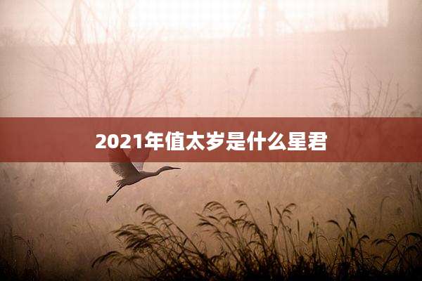 2021年值太岁是什么星君