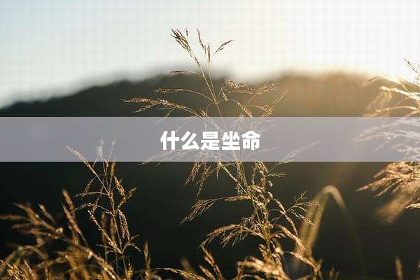 什么是坐命