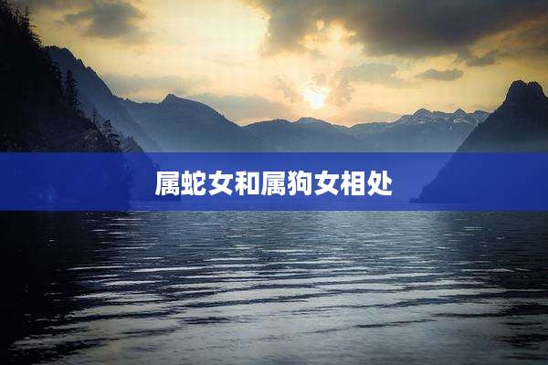 属蛇女和属狗女相处