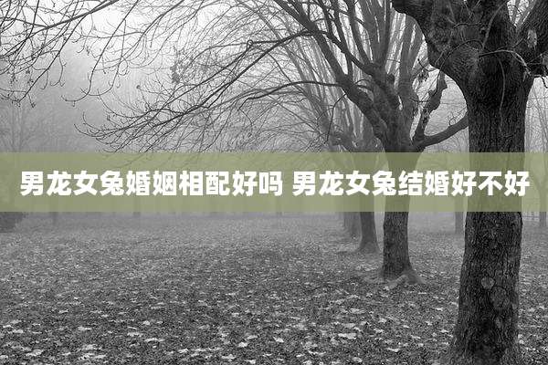 男龙女兔婚姻相配好吗 男龙女兔结婚好不好