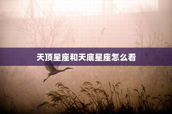 天顶星座和天底星座怎么看