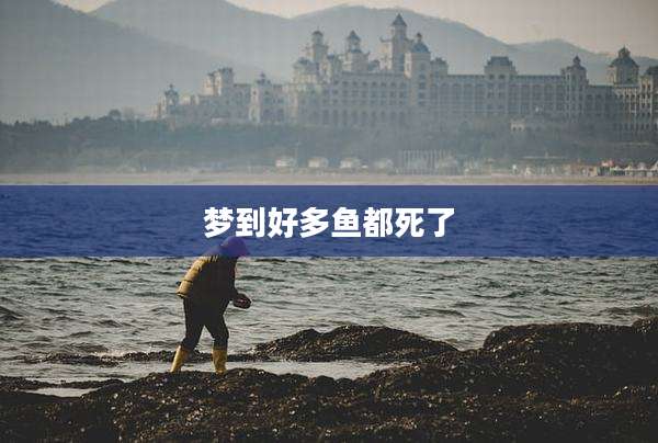 梦到好多鱼都死了