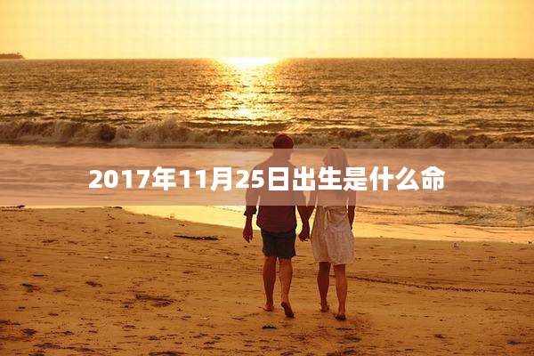 2017年11月25日出生是什么命