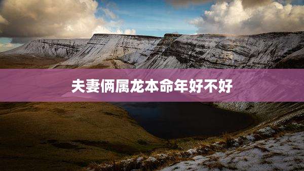 夫妻俩属龙本命年好不好