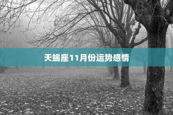 天蝎座11月份运势感情