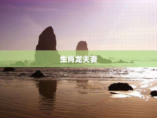 生肖龙夫妻