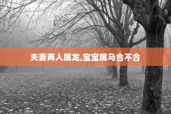 夫妻两人属龙,宝宝属马合不合