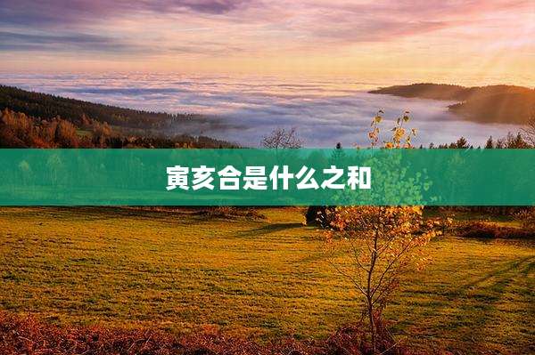寅亥合是什么之和