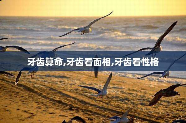 牙齿算命,牙齿看面相,牙齿看性格