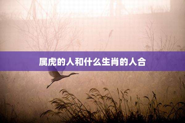 属虎的人和什么生肖的人合