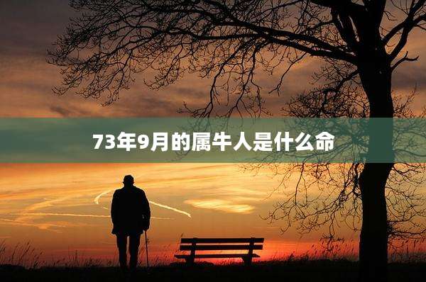 73年9月的属牛人是什么命