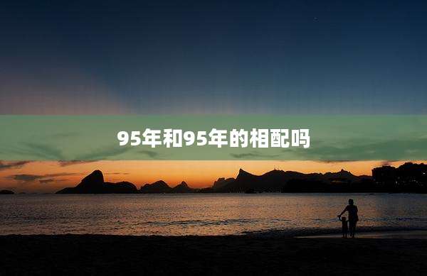 95年和95年的相配吗