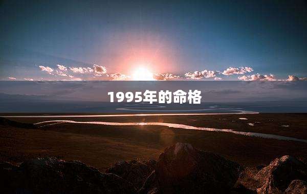 1995年的命格