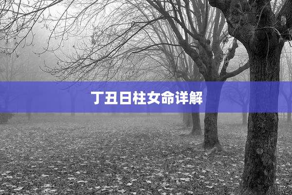 丁丑日柱女命详解