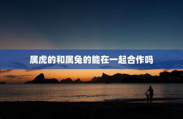 属虎的和属兔的能在一起合作吗