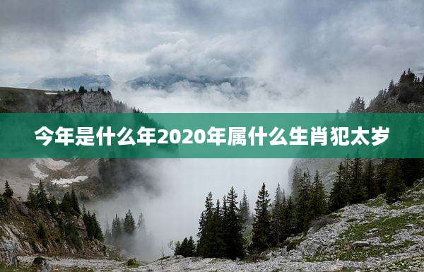 今年是什么年2020年属什么生肖犯太岁